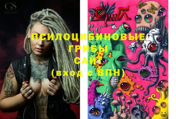 трава Белокуриха