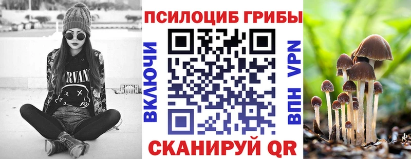 Купить закладки  Меленки  Галлюциногенные грибы ЛСД 